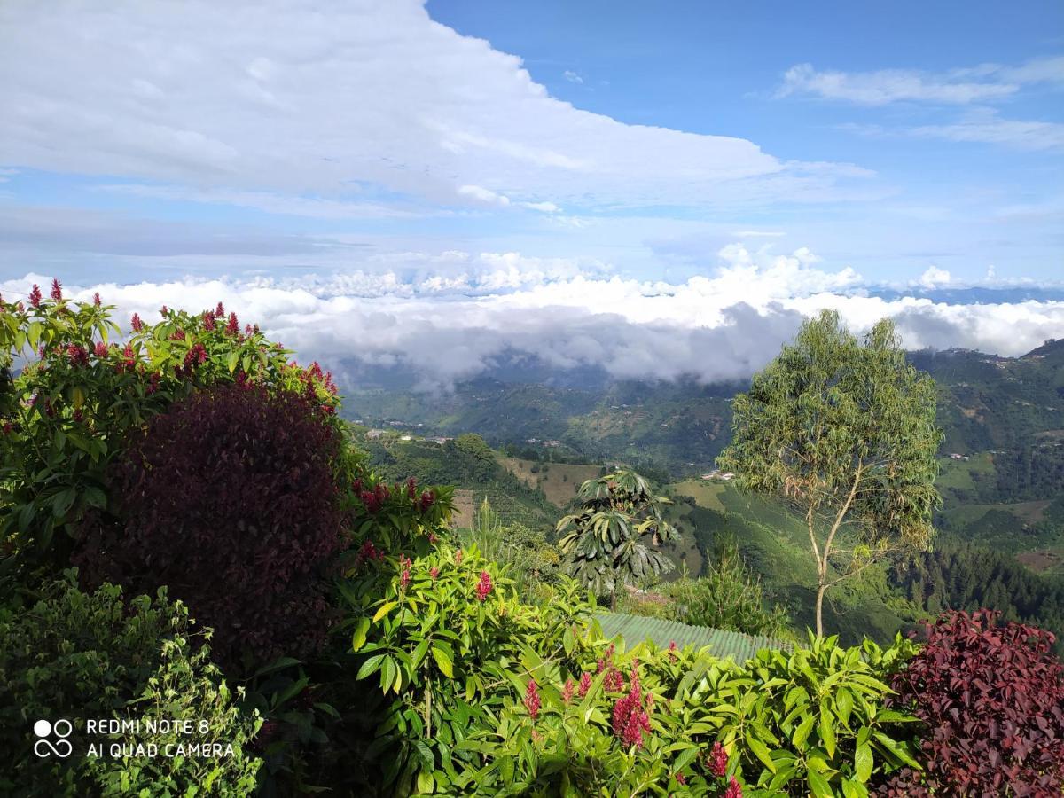 Mirador Finca Morrogacho Manizales Exteriér fotografie