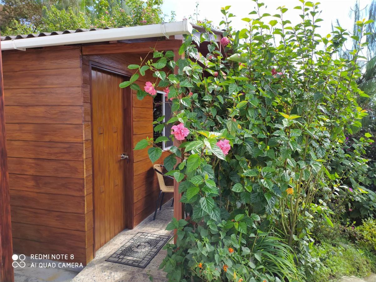 Mirador Finca Morrogacho Manizales Exteriér fotografie