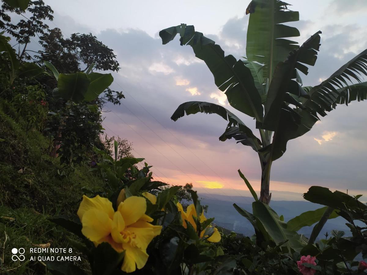 Mirador Finca Morrogacho Manizales Exteriér fotografie