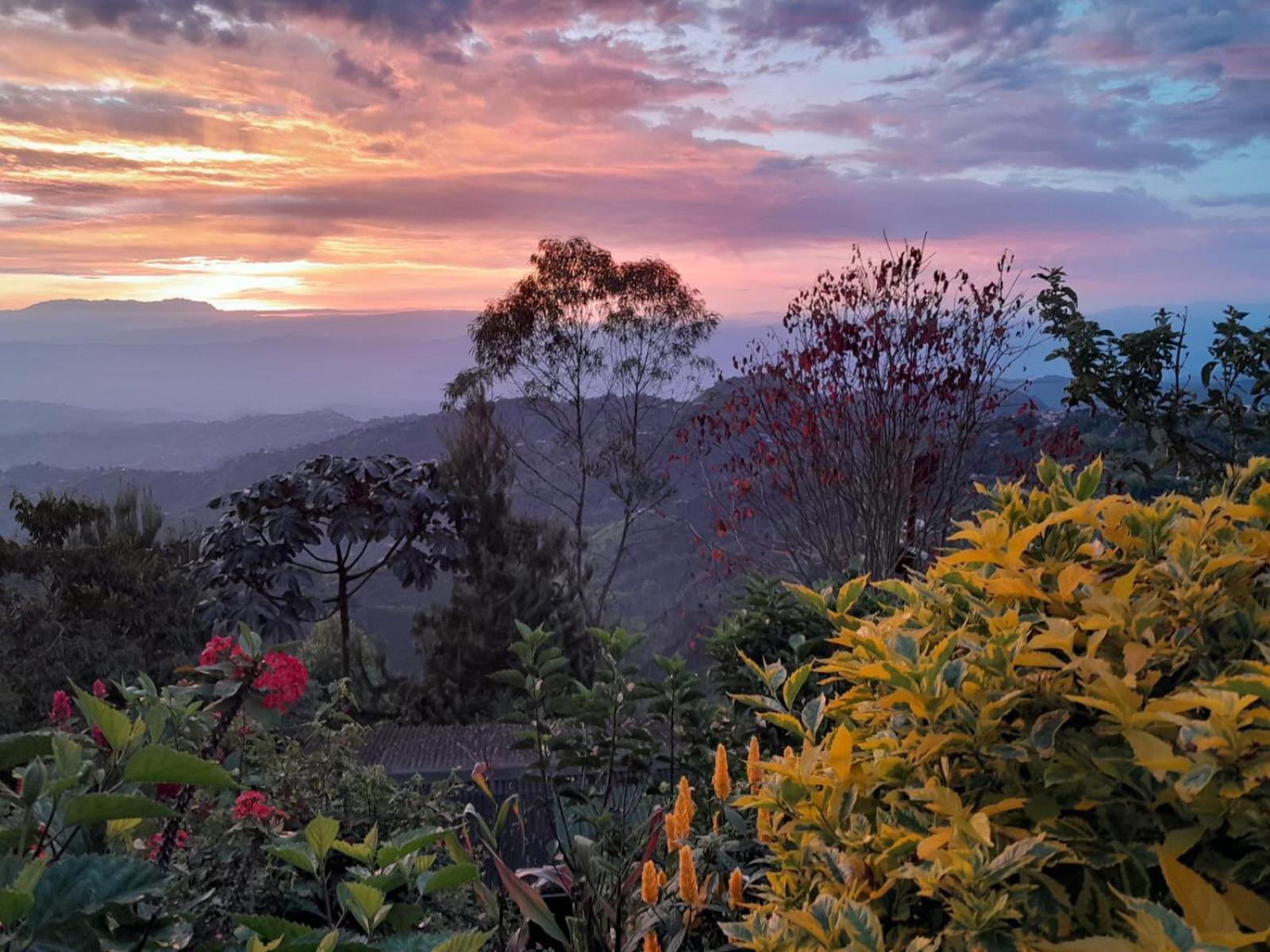 Mirador Finca Morrogacho Manizales Exteriér fotografie