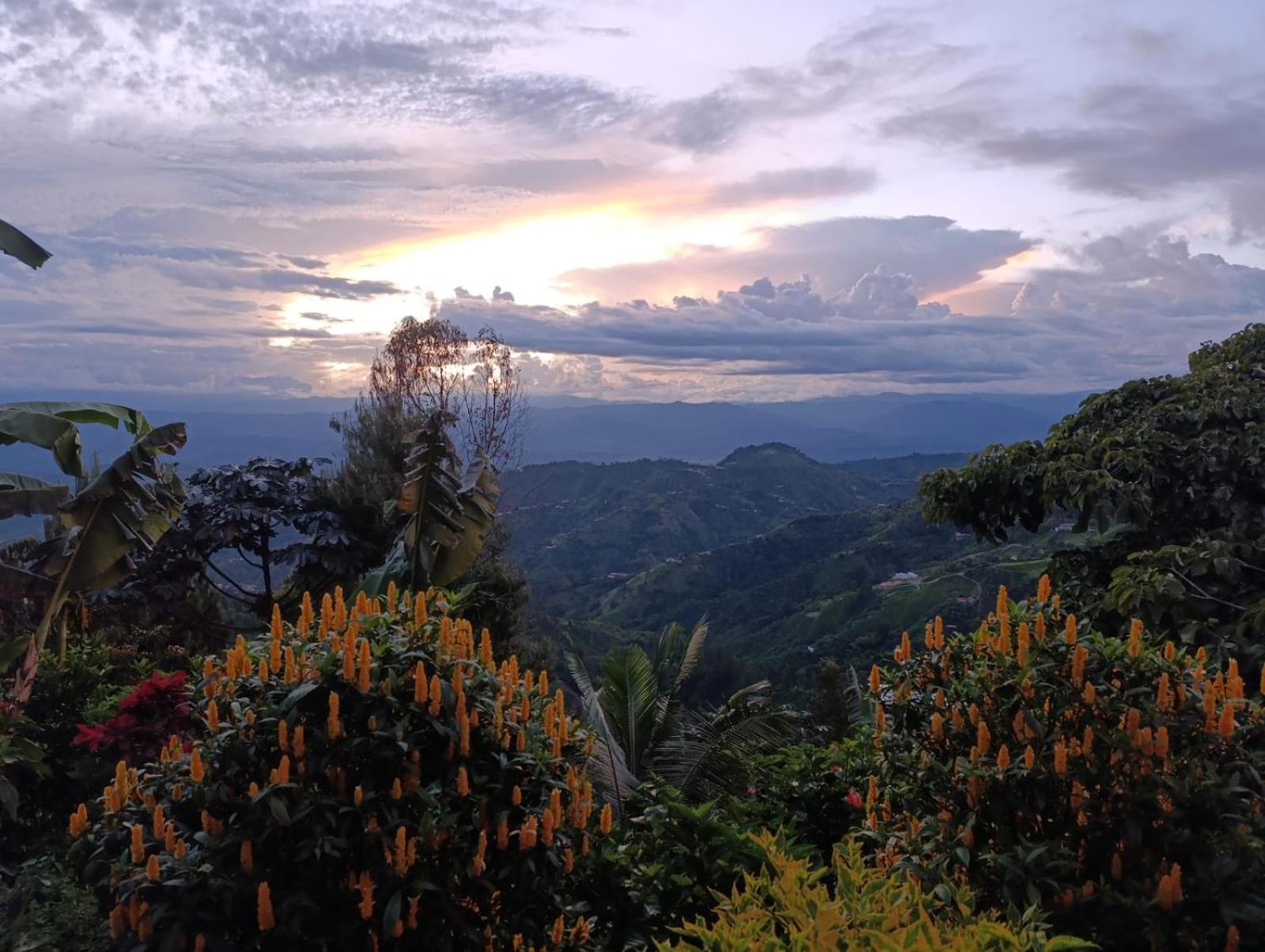 Mirador Finca Morrogacho Manizales Exteriér fotografie