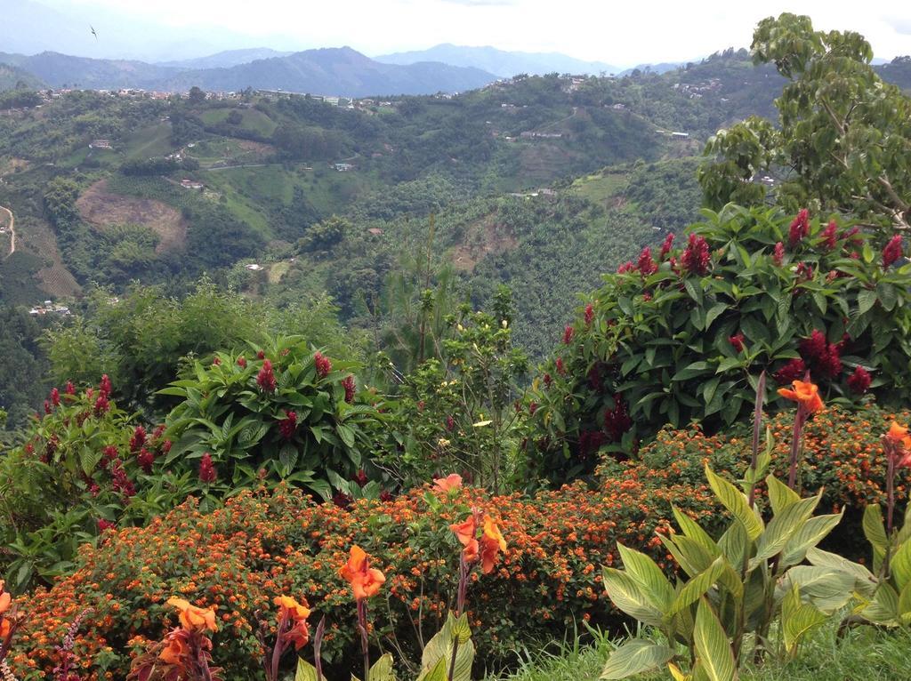 Mirador Finca Morrogacho Manizales Exteriér fotografie